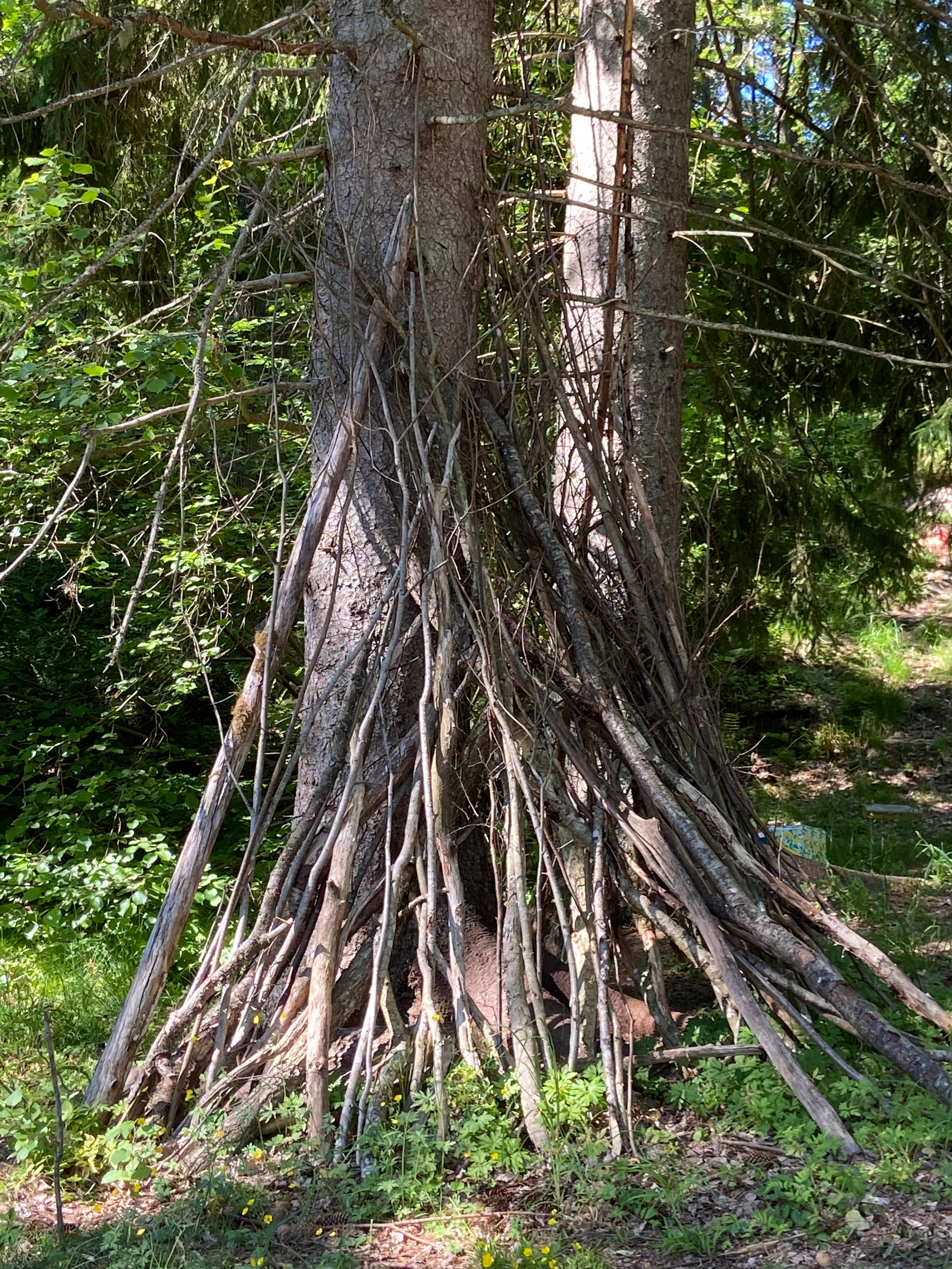 Förmår vuxna se utomhusplatser med barns ögon?